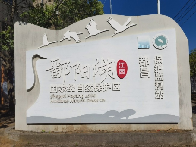 鳲ʶ