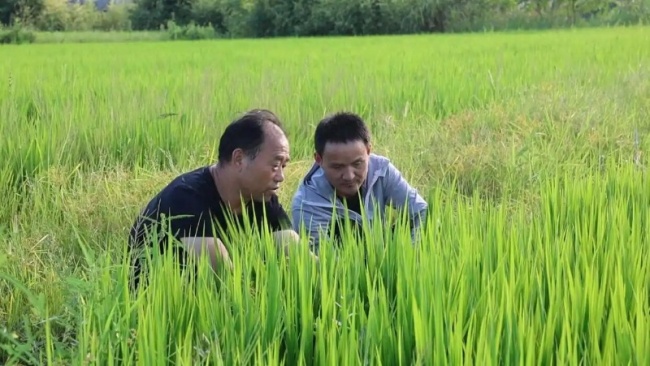 溦