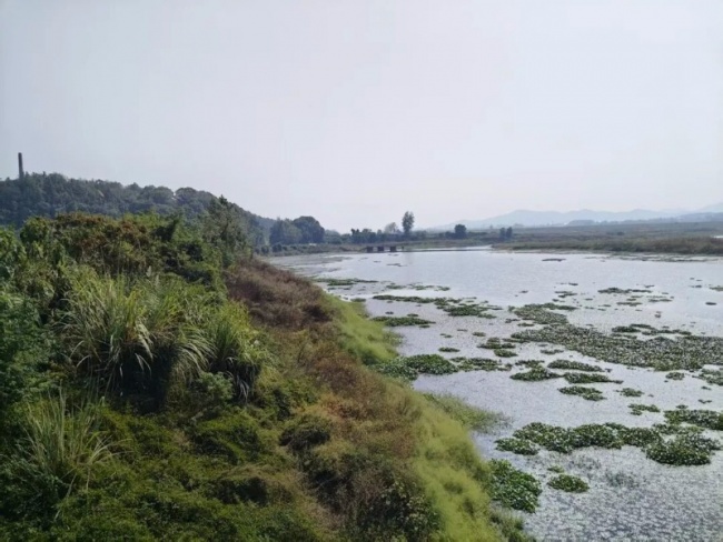 żǡ